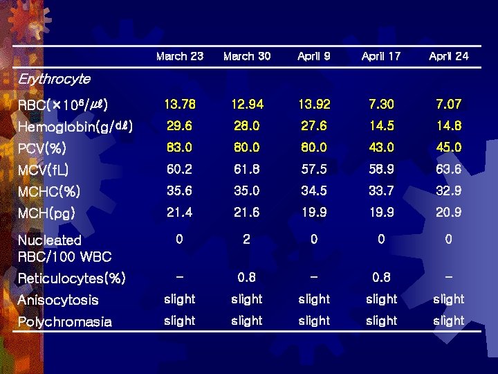 March 23 March 30 April 9 April 17 April 24 RBC(× 106/㎕) 13. 78