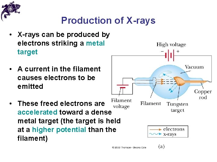 Production of X-rays • X-rays can be produced by electrons striking a metal target