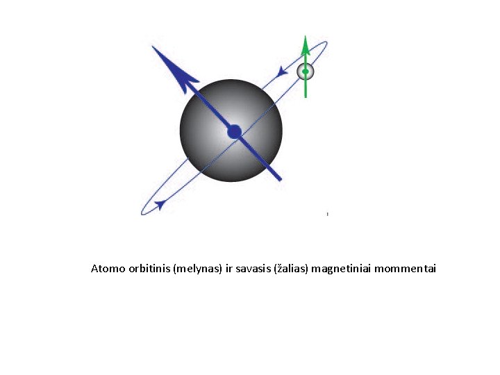 Atomo orbitinis (melynas) ir savasis (žalias) magnetiniai mommentai 