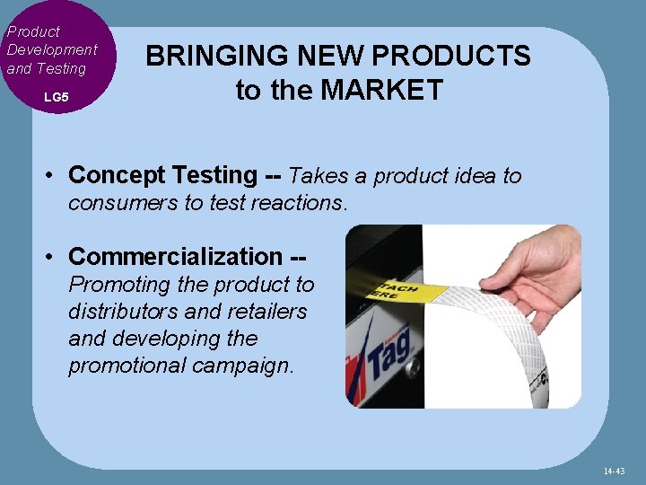 Product Development and Testing LG 5 BRINGING NEW PRODUCTS to the MARKET • Concept