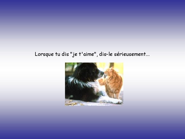 Lorsque tu dis "je t'aime", dis-le sérieusement. . . 