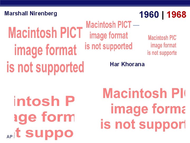 Marshall Nirenberg 1960 | 1968 Har Khorana AP Biology 