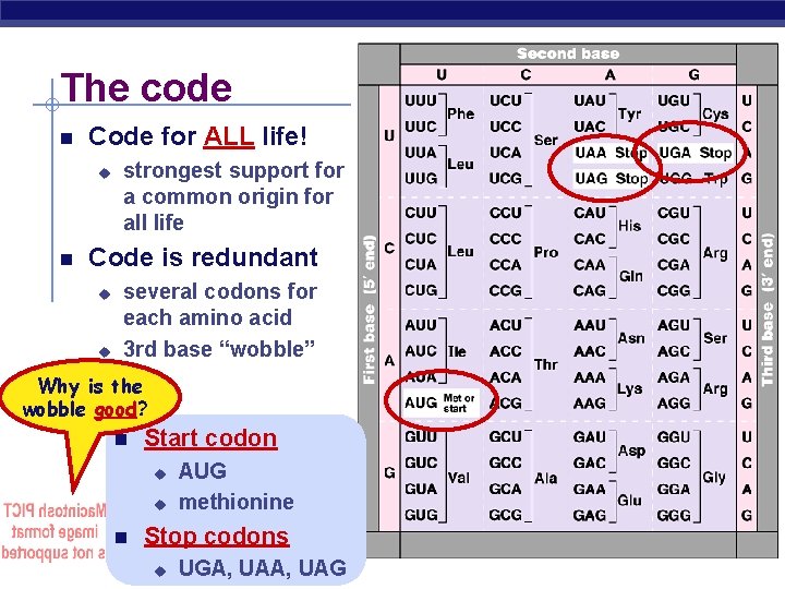 The code Code for ALL life! strongest support for a common origin for all