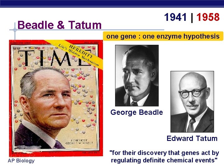 1941 | 1958 Beadle & Tatum one gene : one enzyme hypothesis George Beadle