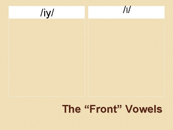 /iy/ / I/ The “Front” Vowels 