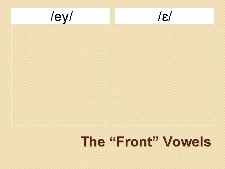 /ey/ /ɛ/ The “Front” Vowels 