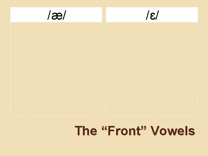 /æ/ /ɛ/ The “Front” Vowels 