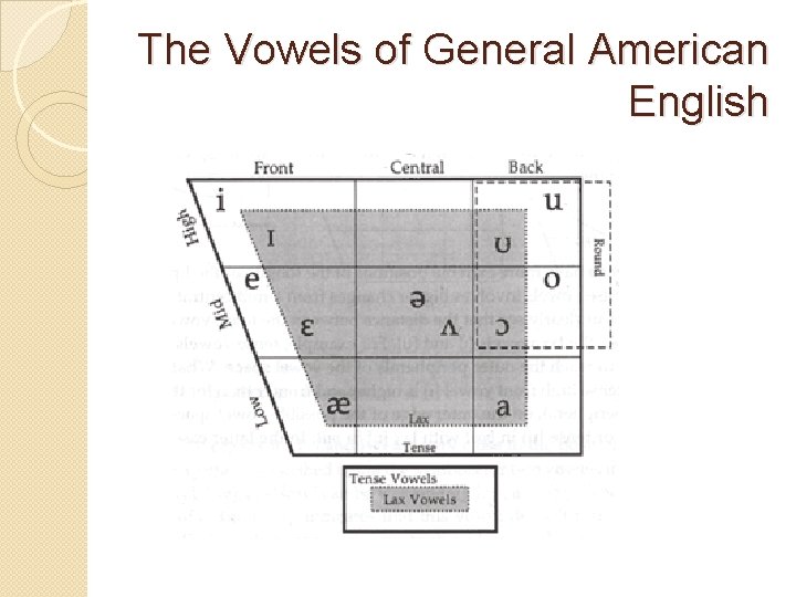 The Vowels of General American English 