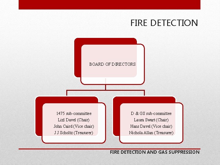FIRE DETECTION BOARD OF DIRECTORS 1475 sub-committee Lizl Davel (Chair) John Caird (Vice chair)