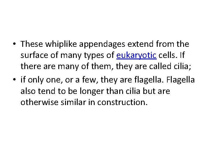  • These whiplike appendages extend from the surface of many types of eukaryotic