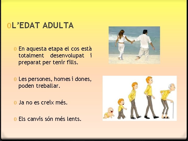 0 L’EDAT ADULTA 0 En aquesta etapa el cos està totalment desenvolupat i preparat 0 L’EDAT ADULTA 0 En aquesta etapa el cos està totalment desenvolupat i preparat