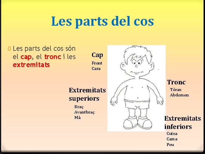 Les parts del cos 0 Les parts del cos són el cap, el tronc Les parts del cos 0 Les parts del cos són el cap, el tronc