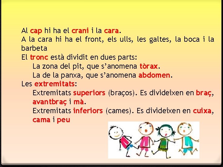 Al cap hi ha el crani i la cara. A la cara hi ha Al cap hi ha el crani i la cara. A la cara hi ha