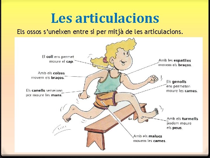Les articulacions Els ossos s’uneixen entre si per mitjà de les articulacions. Les articulacions Els ossos s’uneixen entre si per mitjà de les articulacions.