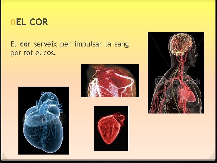 0 EL COR El cor serveix per impulsar la sang per tot el cos. 0 EL COR El cor serveix per impulsar la sang per tot el cos.