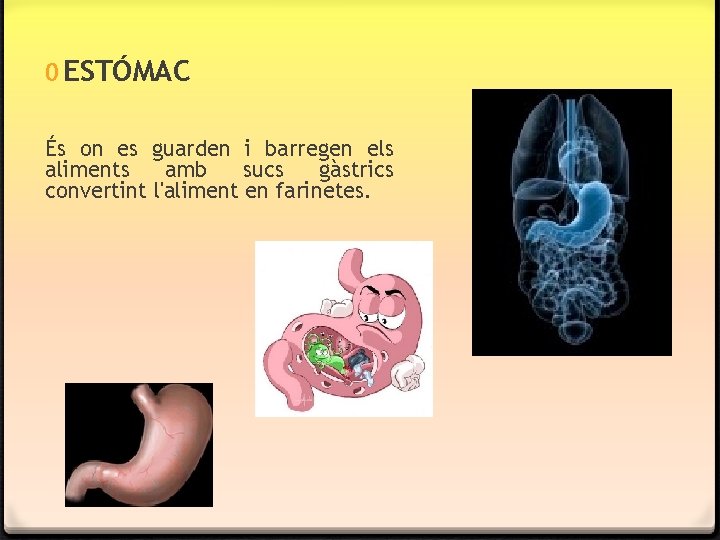 0 ESTÓMAC És on es guarden i barregen els aliments amb sucs gàstrics convertint 0 ESTÓMAC És on es guarden i barregen els aliments amb sucs gàstrics convertint