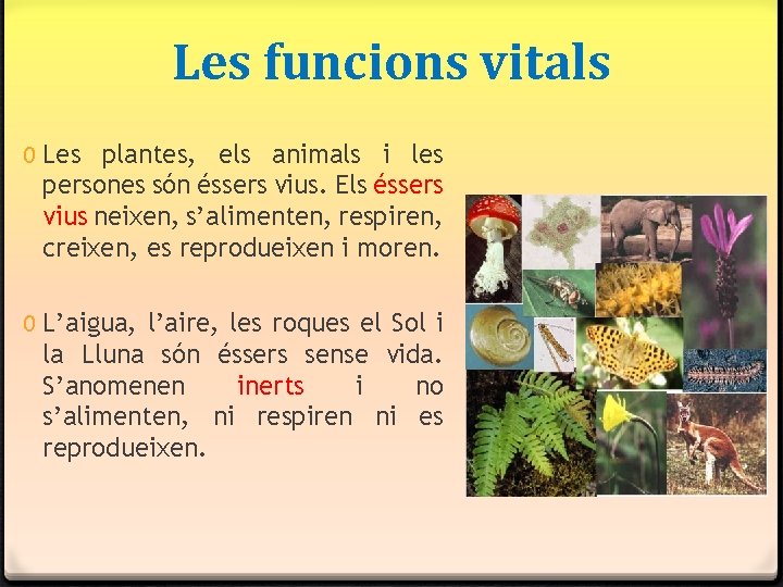 Les funcions vitals 0 Les plantes, els animals i les persones són éssers vius. Les funcions vitals 0 Les plantes, els animals i les persones són éssers vius.