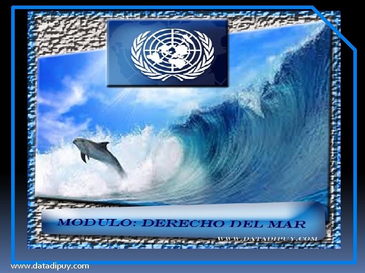 www. datadipuy. com 