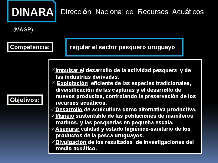 DINARA Dirección Nacional de Recursos Acuáticos (MAGP) Competencia: Objetivos: regular el sector pesquero uruguayo.