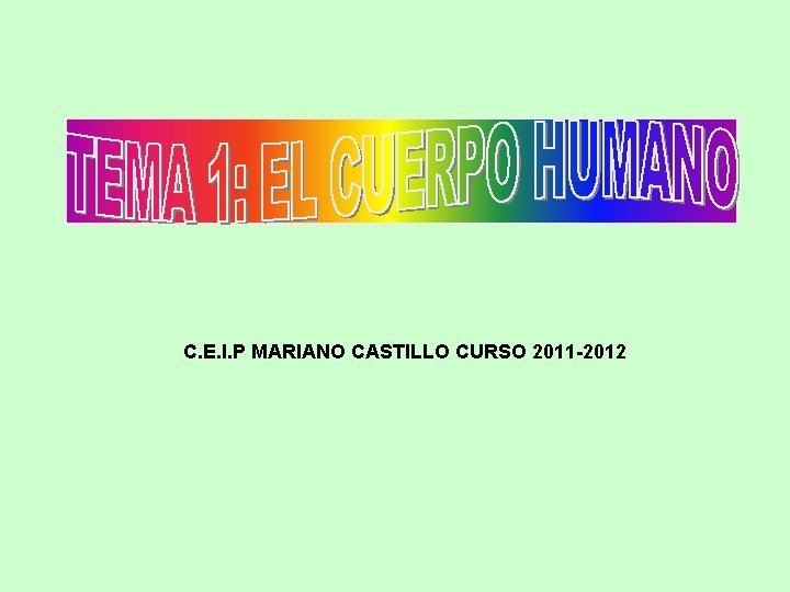 C. E. I. P MARIANO CASTILLO CURSO 2011 -2012 