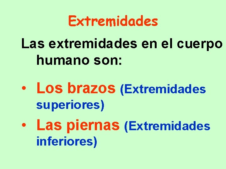 Extremidades Las extremidades en el cuerpo humano son: • Los brazos (Extremidades superiores) •