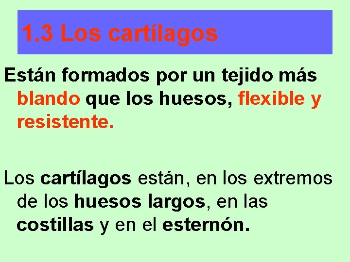 1. 3 Los cartílagos Están formados por un tejido más blando que los huesos,