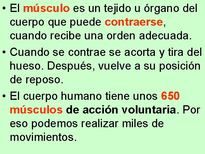  • El músculo es un tejido u órgano del cuerpo que puede contraerse,