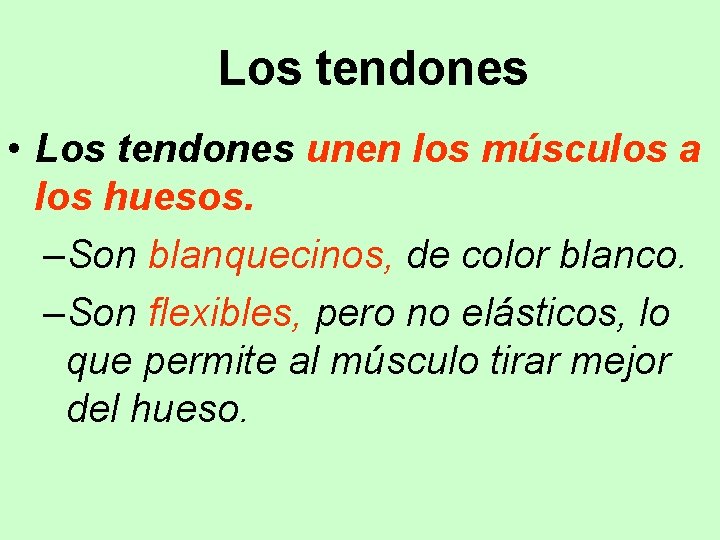  Los tendones • Los tendones unen los músculos a los huesos. –Son blanquecinos,