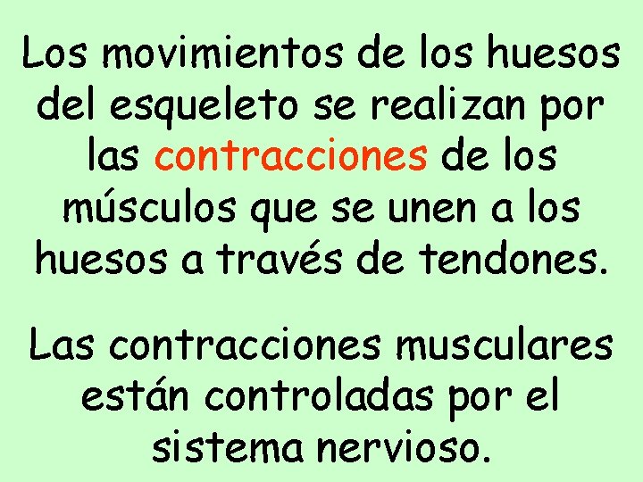 Los movimientos de los huesos del esqueleto se realizan por las contracciones de los