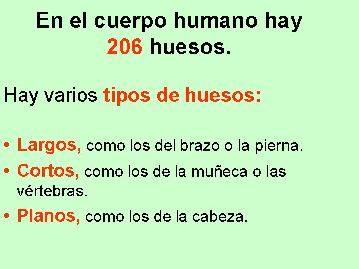 En el cuerpo humano hay 206 huesos. Hay varios tipos de huesos: • Largos,