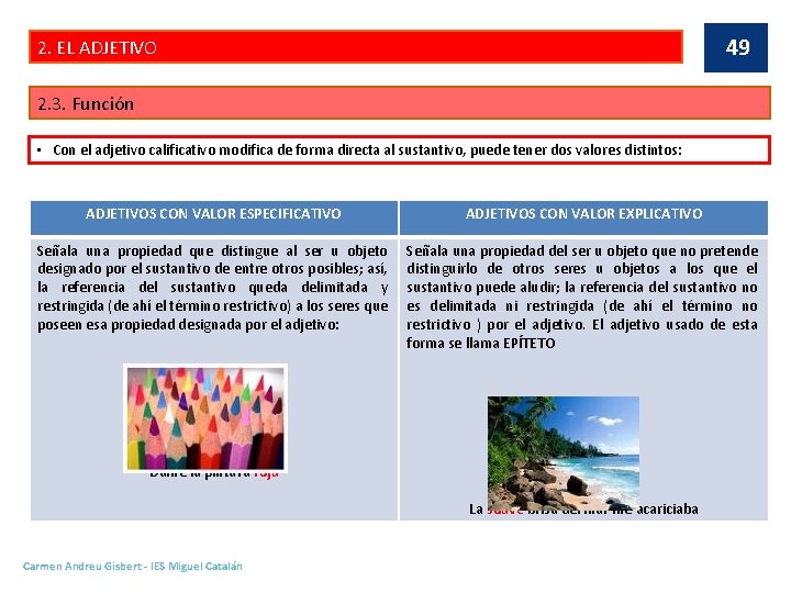 49 2. EL ADJETIVO 2. 3. Función • Con el adjetivo calificativo modifica de