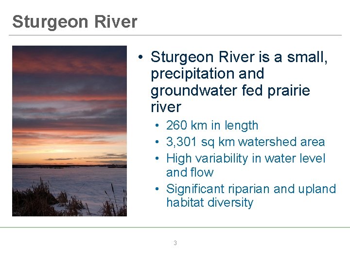 Sturgeon River • Sturgeon River is a small, precipitation and groundwater fed prairie river
