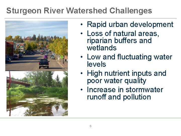 Sturgeon River Watershed Challenges • Rapid urban development • Loss of natural areas, riparian