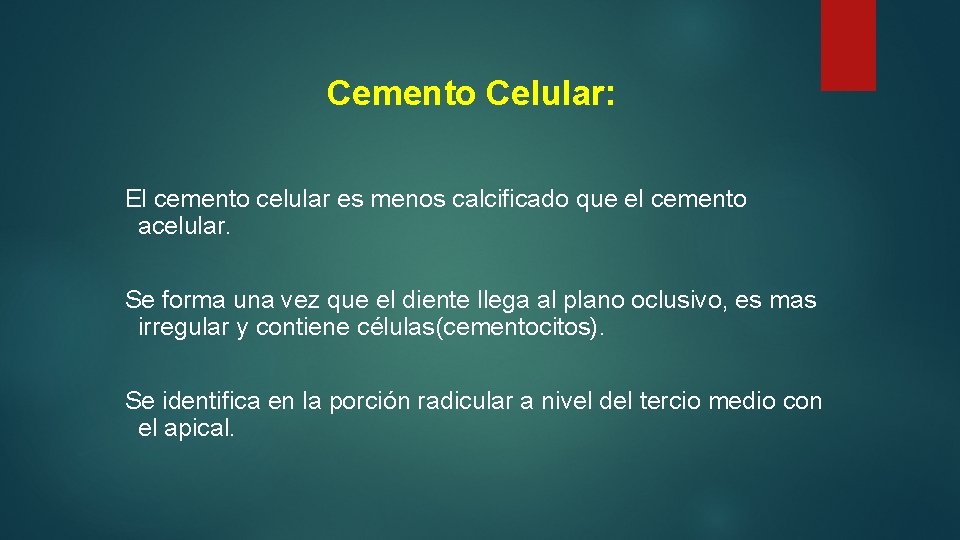 Cemento Celular: El cemento celular es menos calcificado que el cemento acelular. Se forma