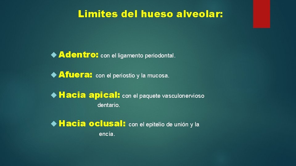 Limites del hueso alveolar: Adentro: con el ligamento periodontal. Afuera: con el periostio y