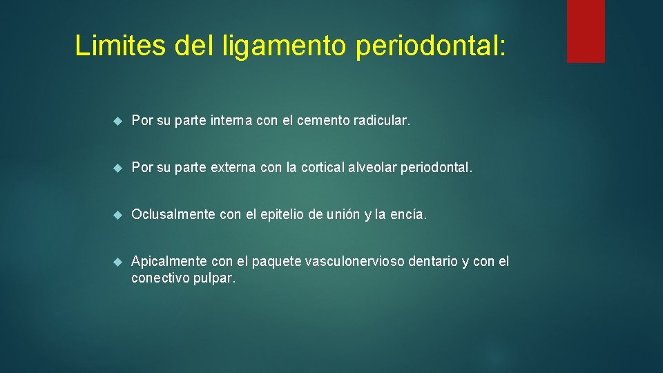 Limites del ligamento periodontal: Por su parte interna con el cemento radicular. Por su