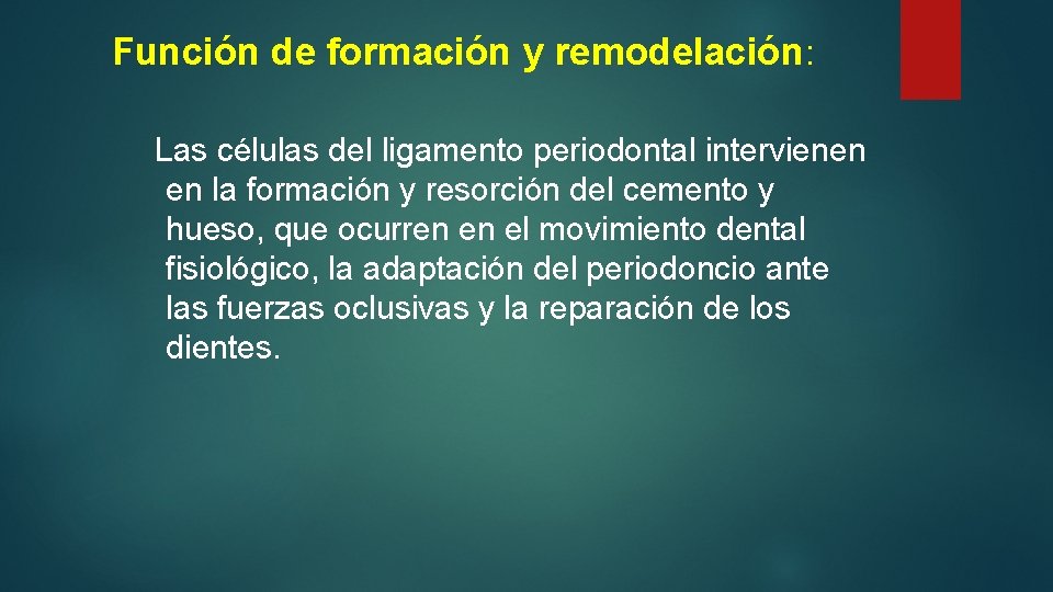 Función de formación y remodelación: Las células del ligamento periodontal intervienen en la formación
