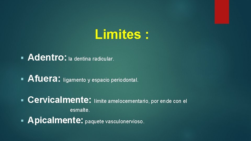 Limites : § Adentro: la dentina radicular. § Afuera: ligamento y espacio periodontal. §