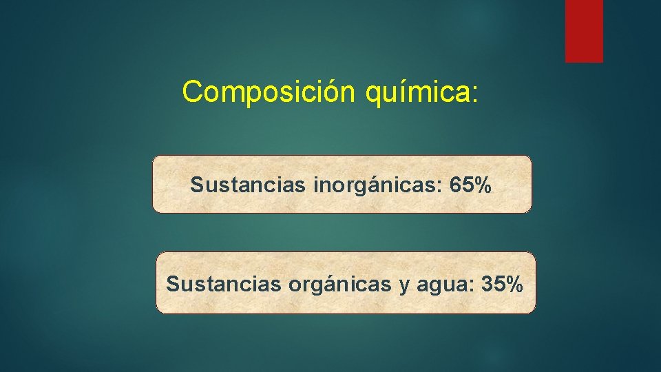 Composición química: Sustancias inorgánicas: 65% Sustanciasorgánicas y agua: Sustancias agua: 35% 