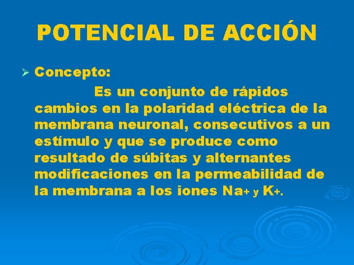 POTENCIAL DE ACCIÓN Ø Concepto: Es un conjunto de rápidos cambios en la polaridad