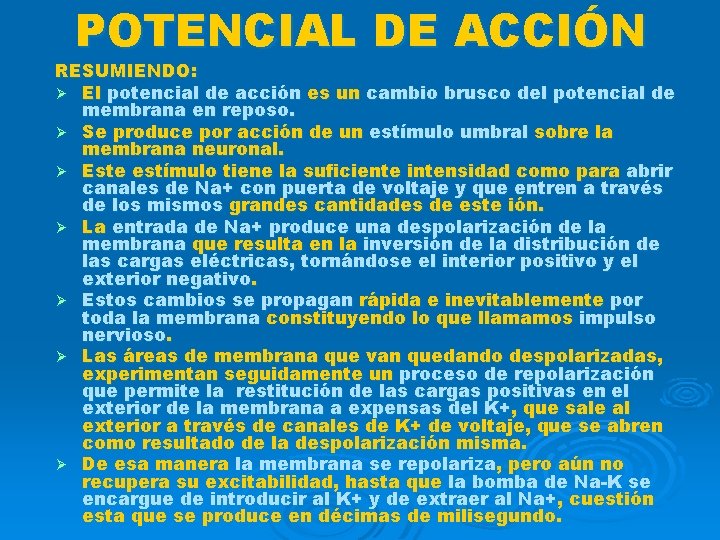 POTENCIAL DE ACCIÓN RESUMIENDO: Ø El potencial de acción es un cambio brusco del