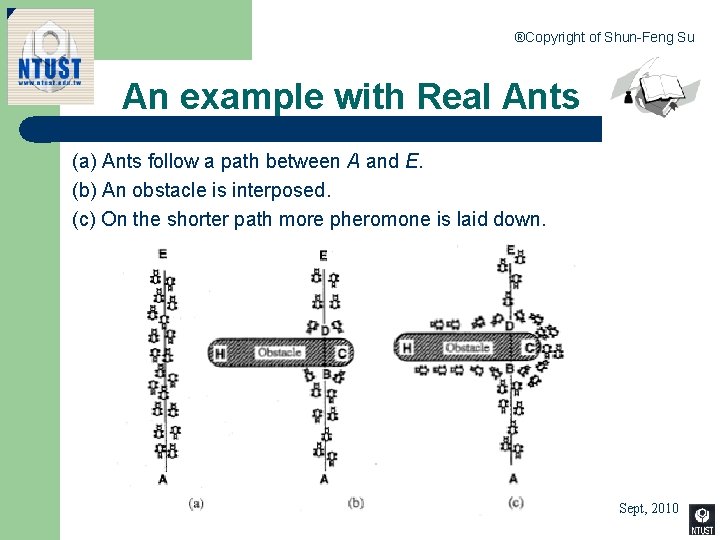 ®Copyright of Shun-Feng Su An example with Real Ants (a) Ants follow a path