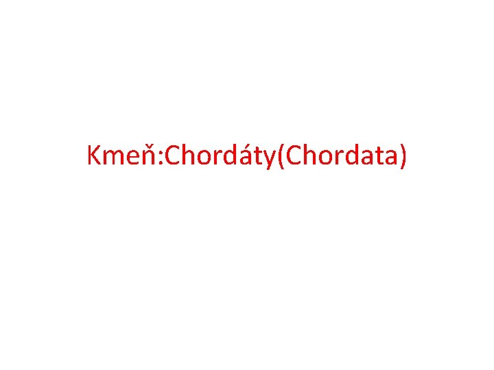 Kmeň: Chordáty(Chordata) 