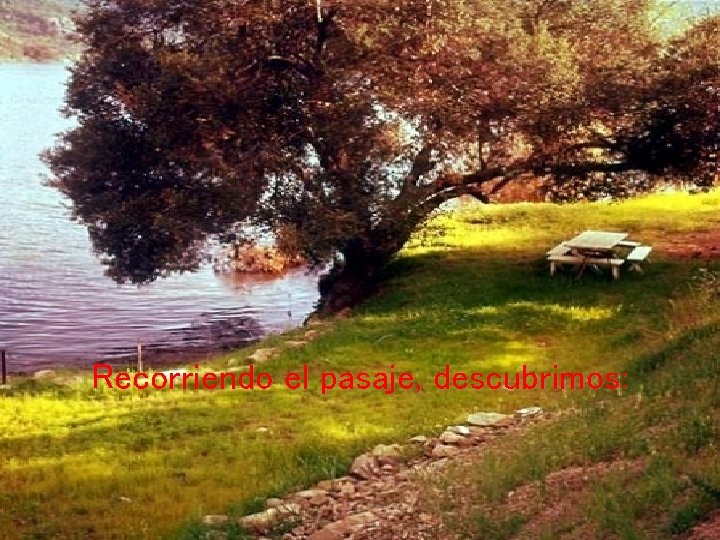 Recorriendo el pasaje, descubrimos: Recorriendo el pasaje, descubrimos: