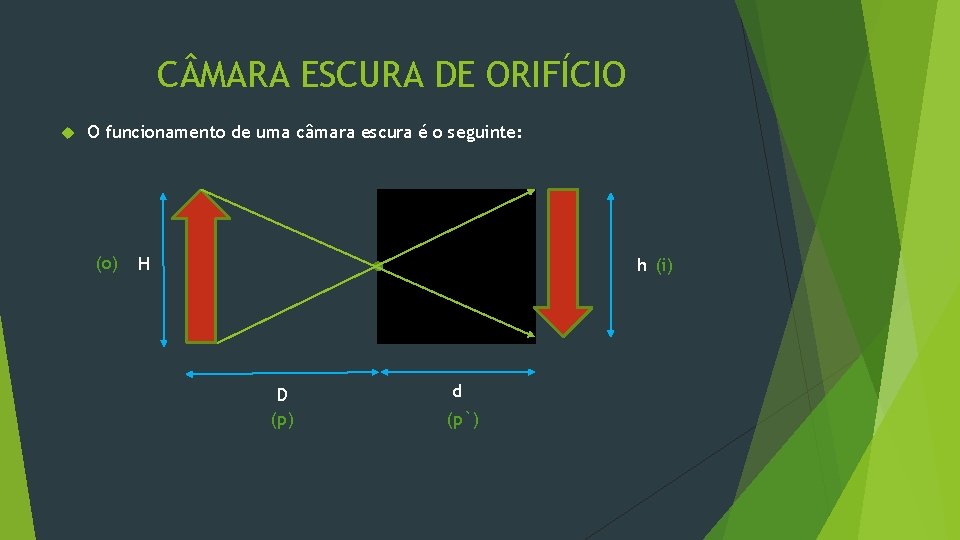 C MARA ESCURA DE ORIFÍCIO O funcionamento de uma câmara escura é o seguinte: