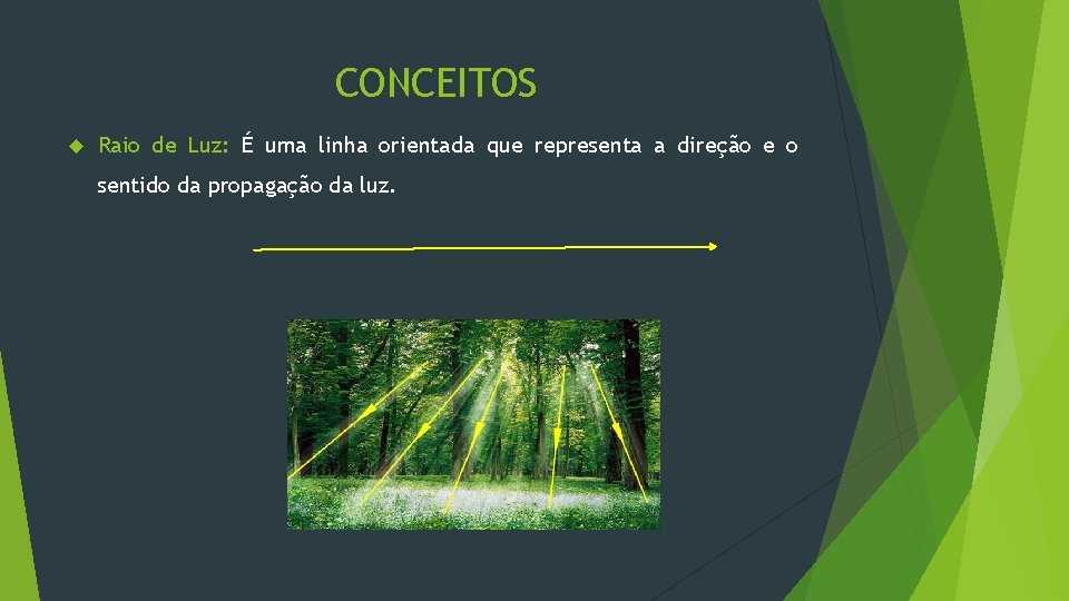 CONCEITOS Raio de Luz: É uma linha orientada que representa a direção e o