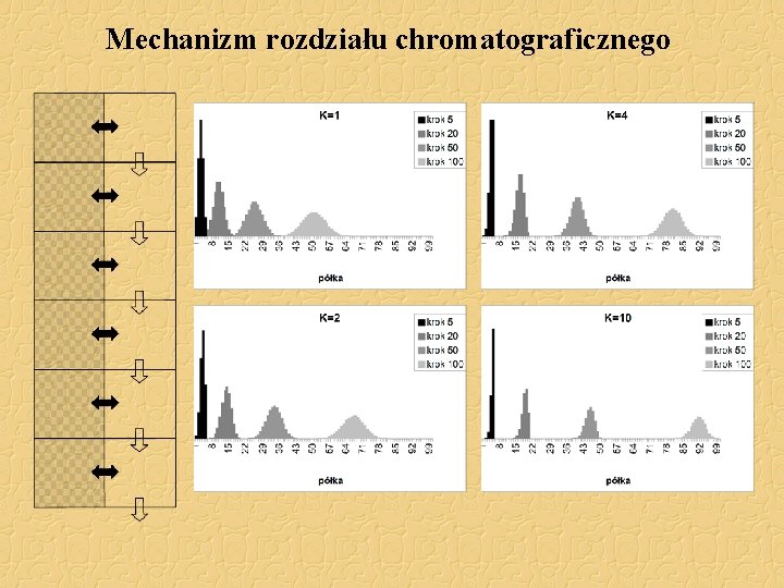 Mechanizm rozdziału chromatograficznego 