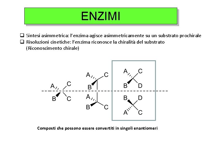 ENZIMI q Sintesi asimmetrica: l’enzima agisce asimmetricamente su un substrato prochirale q Risoluzioni cinetiche:
