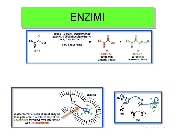 ENZIMI 