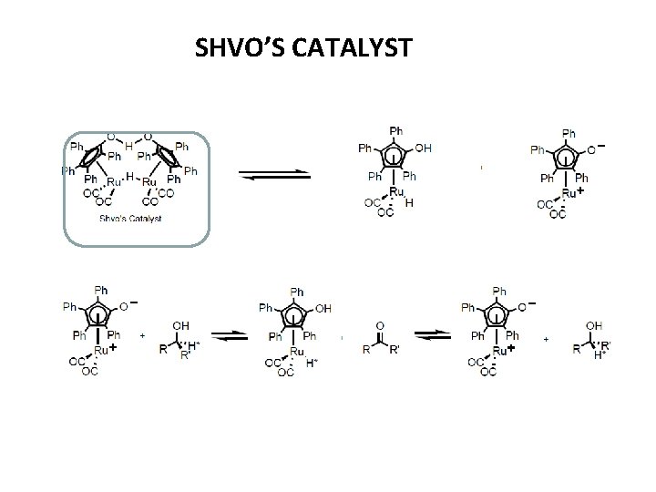 SHVO’S CATALYST 